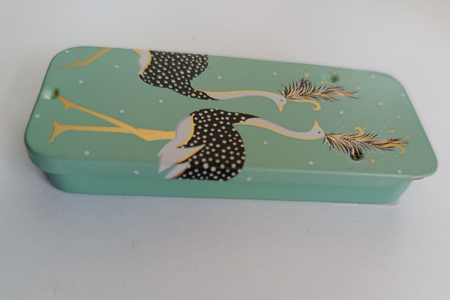 Magnetic Needle Tin Case Green Ostriches