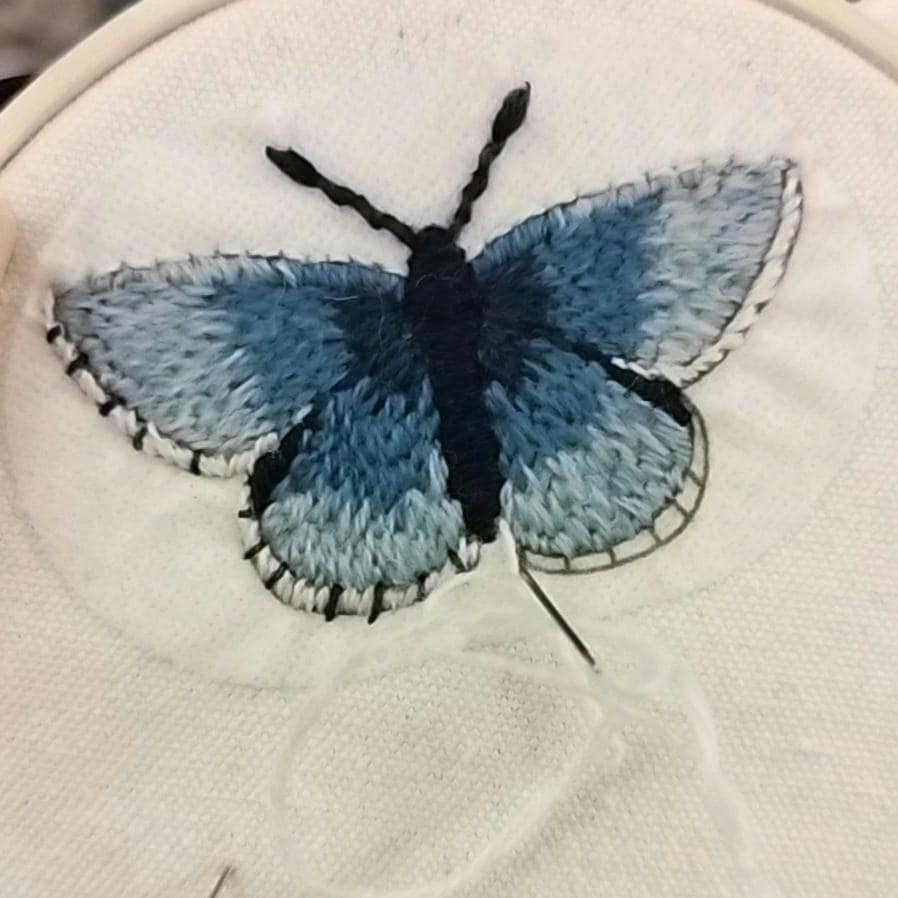 English Butterfly Stick and Stitch Washable Transfers, Peacock, Red Admiral, Orange Tip, Meadow Brown, Common Blue, Painted Lady, Brimstone