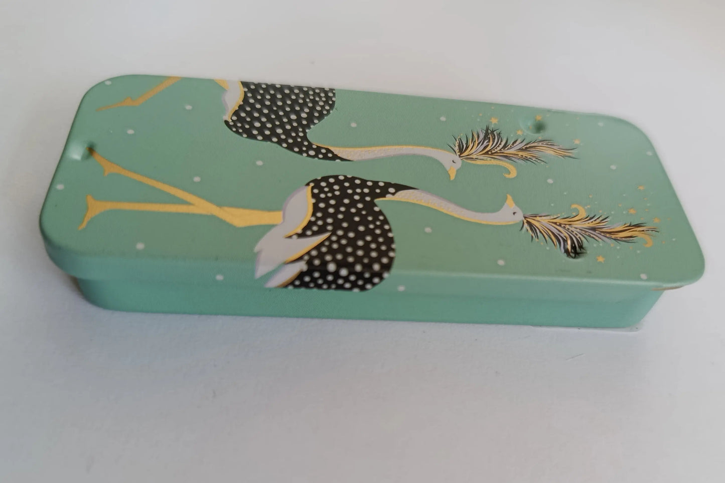 Magnetic Needle Tin Case Green Ostriches