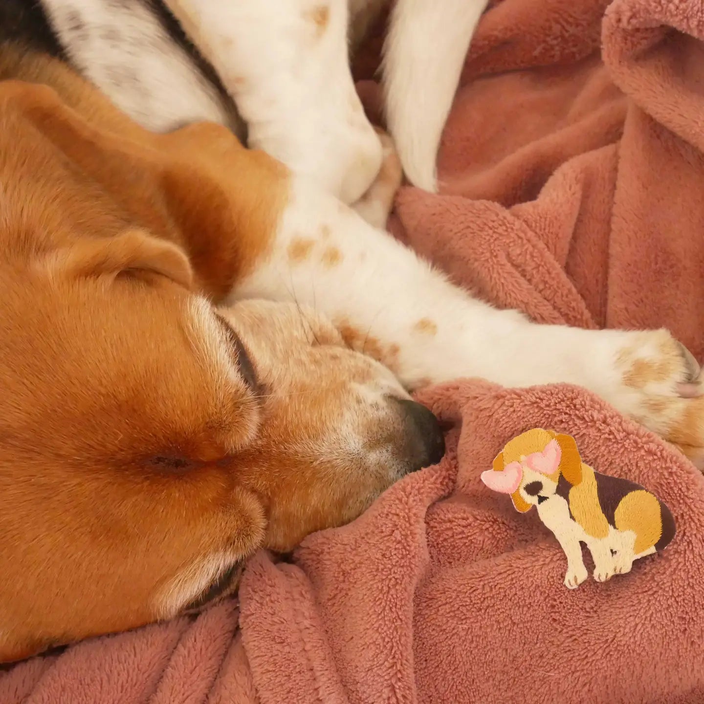 Beagle Iron on Patch