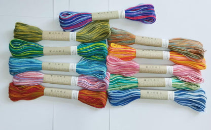 Olympus Sashiko Variegated Thread 20m