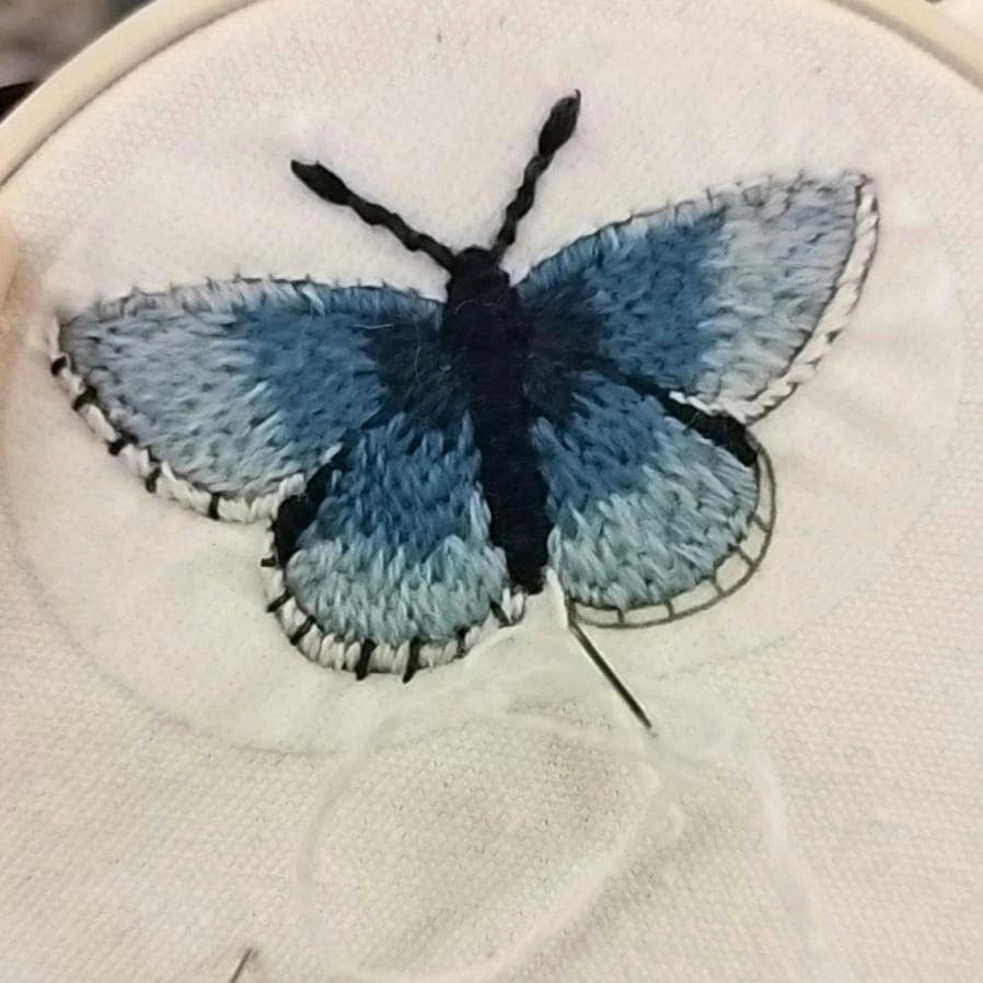 English Butterfly Stick and Stitch Washable Transfers, Peacock, Red Admiral, Orange Tip, Meadow Brown,  Common Blue, Painted Lady, Brimstone